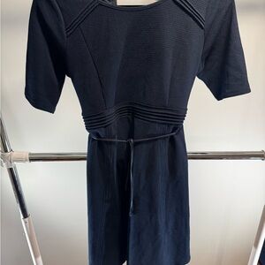 The Perfect Maternity Blue Dress